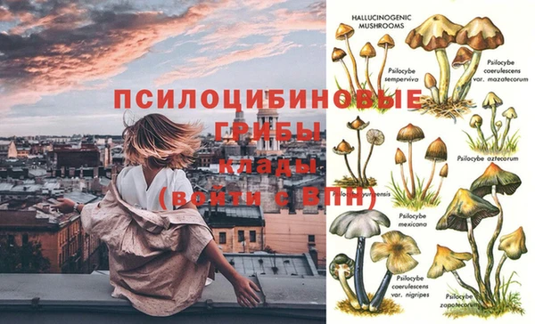 синтетический гашиш Арсеньев