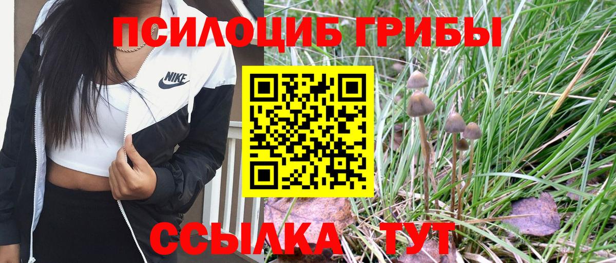 Псилоцибиновые грибы Magic Shrooms Чусовой