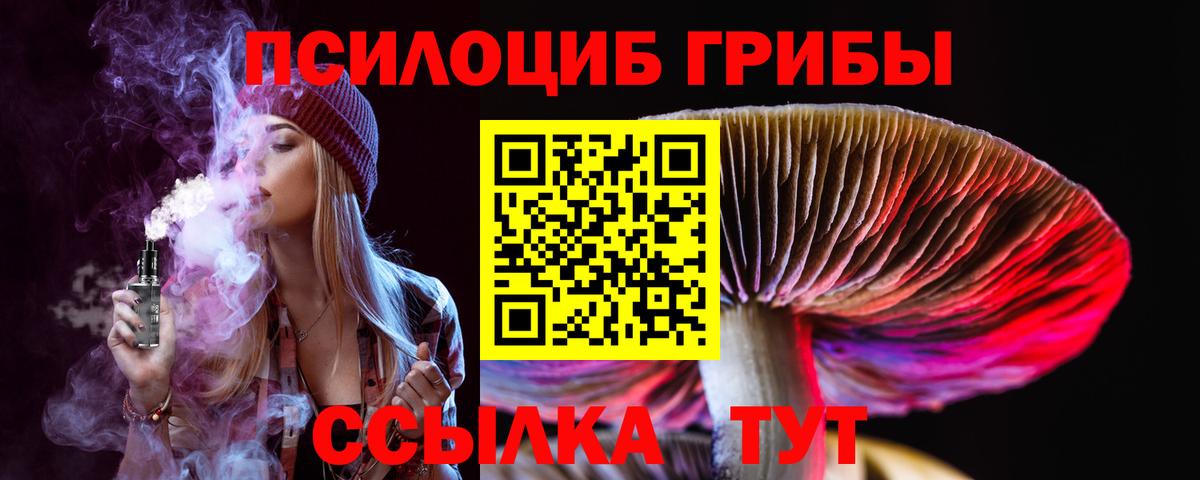 даркнет сайт  Вход с VPN  Псилоцибиновые грибы Psilocybe  Чусовой  Псилоцибиновые грибы Magic Shrooms 
